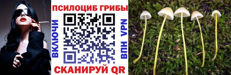 Галлюциногенные грибы мицелий  купить  цена  мориарти наркотические препараты  Певек 