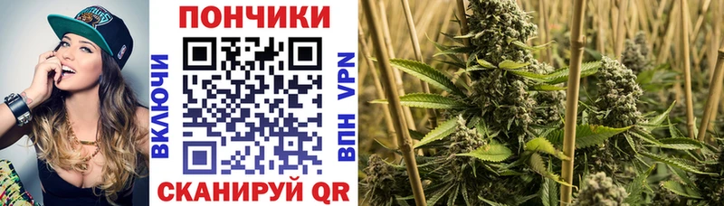 Канабис White Widow продажа наркотиков кракен сайт Певек